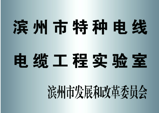 滨州市特种电线电缆工程实验室